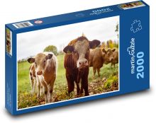 Kravy - farma, dobytok Puzzle 2000 dielikov - 90 x 60 cm