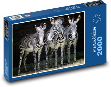 Zebry - zvířata, zoo - Puzzle 2000 dílků, rozměr 90x60 cm