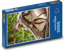 Affe - Zoo, Küken Puzzle 2000 Teile - 90 x 60 cm