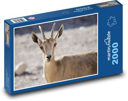 Steinbock - Tier, Küken - Puzzle - 2000 Teile