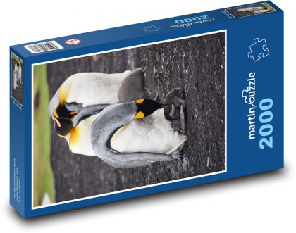 Pinguine - Falklandinseln, Tiere - Puzzle - 2000 Teile