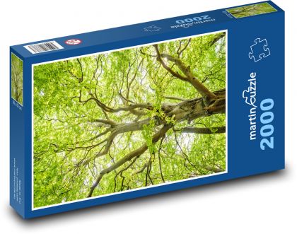 Strom - buk, listy  - puzzle 2000 dílků