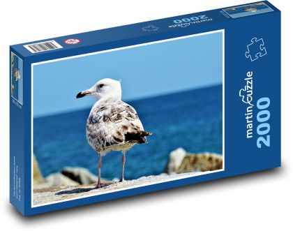 Racek - pták, baltské moře  - Puzzle 2000 dílků, rozměr 90x60 cm