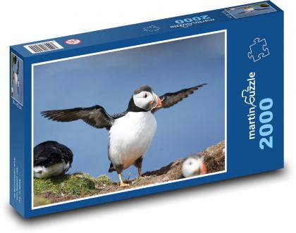 Puffin - vták, zviera - Puzzle 2000 dielikov, rozmer 90x60 cm 