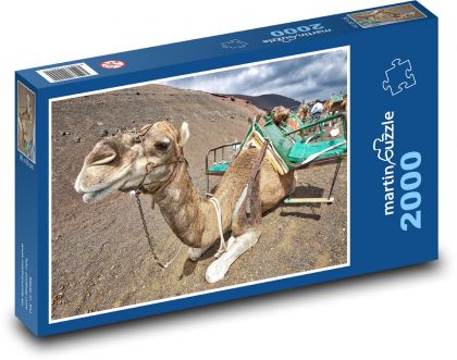 Velbloud - zvíře, poušť - Puzzle 2000 dílků, rozměr 90x60 cm
