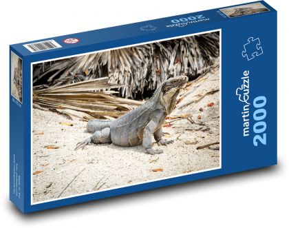 Leguan - Eidechse, Tropen - Puzzle - 2000 Teile