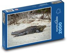 Leguán - jašterica, trópy Puzzle 2000 dielikov - 90 x 60 cm