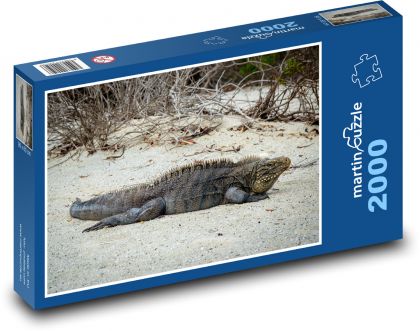 Leguán - jašterica, trópy - Puzzle 2000 dielikov, rozmer 90x60 cm 