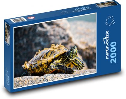 Želva - léto, slunce - puzzle 2000 dílků