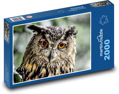 Eule - Eule, Vogel - Puzzle - 2000 Teile