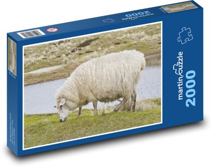 Sylt - Grécko, ovce - Puzzle 2000 dielikov, rozmer 90x60 cm 