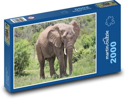Elefant - Tier, Safari - Puzzle - 2000 Teile