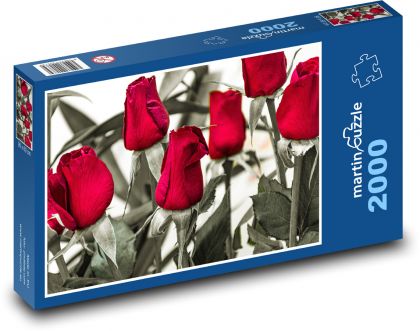 Růže - červené květiny, zahrada - Puzzle 2000 dílků, rozměr 90x60 cm