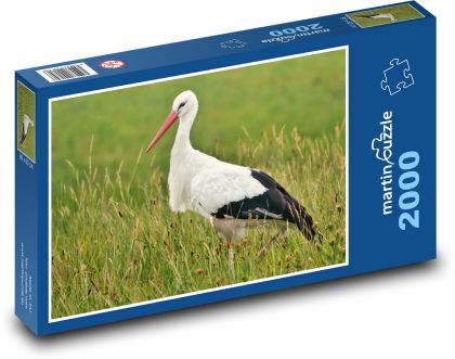 Stork - bird, field - Puzzle 2000 pieces, size 90x60 cm 