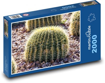 Kaktus - ostrý, květina - Puzzle 2000 dílků, rozměr 90x60 cm