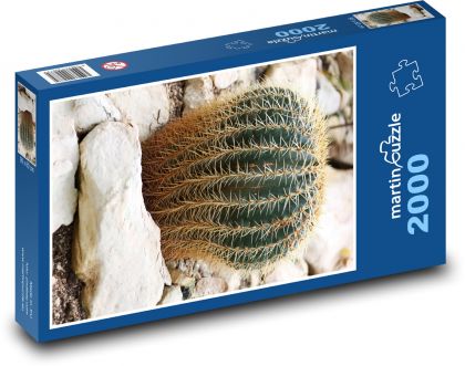 Kaktus - rostlina, květina - puzzle 2000 dílků