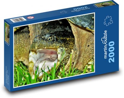Turtle - animal, reptile - Puzzle 2000 pieces, size 90x60 cm 