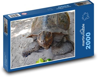 Obří želva - plaz, zvíře - puzzle 2000 dílků