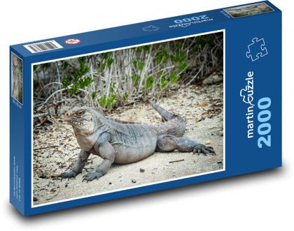 Legwan - jaszczurka, gad - Puzzle 2000 elementów, rozmiar 90x60 cm