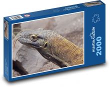 Jaszczurka Komodo, gad Puzzle 2000 elementów - 90x60 cm