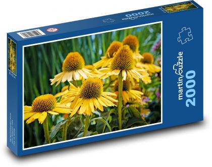 Echinacea - yellow flower - Puzzle 2000 pieces, size 90x60 cm 
