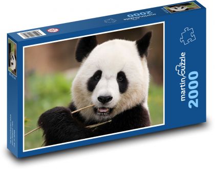 Panda - Tier, Säugetier - Puzzle - 2000 Teile
