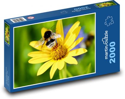 Hummel auf gelber Blume - Puzzle - 2000 Teile