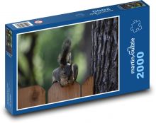 Squirrel on the fence Puzzle 2000 pieces - 90 x 60 cm