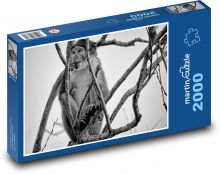 Małpa na gałęzi Puzzle 2000 elementów - 90x60 cm