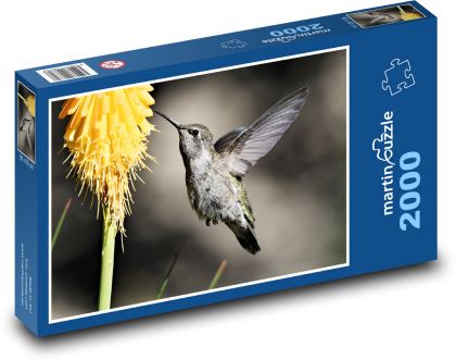 Kolibřík - pták - puzzle 2000 dílků