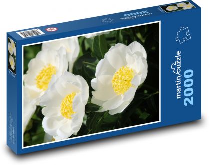 Weiße Pfingstrosen - Puzzle - 2000 Teile