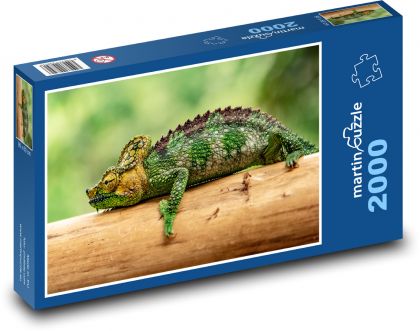 Grünes Chamäleon - Puzzle - 2000 Teile
