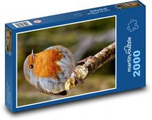 Červenka - vták na vetve Puzzle 2000 dielikov - 90 x 60 cm