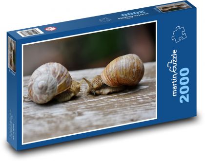 Schnecken - Tiere, Muschel - Puzzle - 2000 Teile
