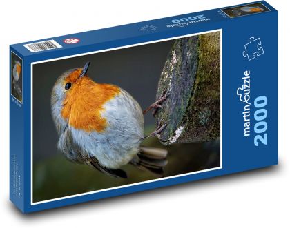 Szminka na pniu - ptak w lesie - Puzzle 2000 elementów, rozmiar 90x60 cm