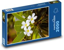Weiße Blume - Blume, Garten Puzzle 2000 Teile - 90 x 60 cm