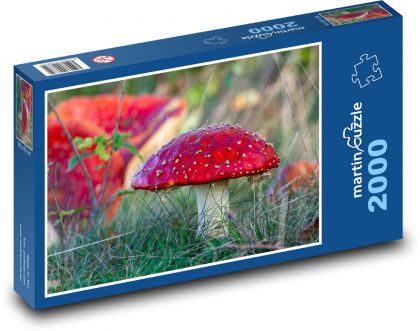 Red mushroom - toadstool - Puzzle 2000 pieces, size 90x60 cm 