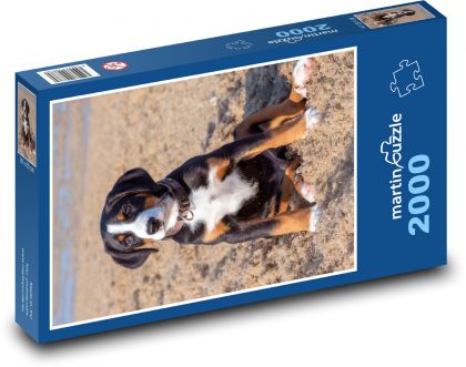 Sediace šteniatko - pes na pláži - Puzzle 2000 dielikov, rozmer 90x60 cm 