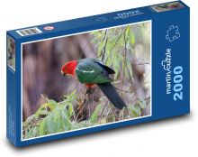 Australský papoušek královský - pták na větv Puzzle 2000 - 90x60 cm