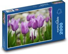 Fialové tulipány - jarní květiny, zahrada Puzzle 2000 dílků - 90 x 60 cm