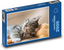 Schlafende Katze - Küken, Tier Puzzle 2000 Teile - 90 x 60 cm