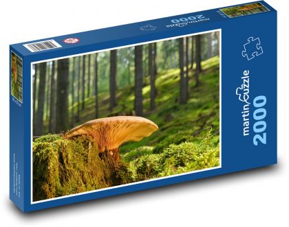 Houba na pařezu - les, příroda - puzzle 2000 dílků