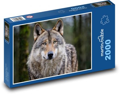 Wolf - Tier, Biest - Puzzle - 2000 Teile
