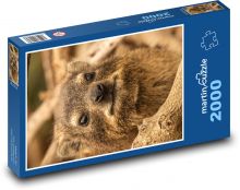 Daman - Afrika Puzzle 2000 dielikov - 90 x 60 cm