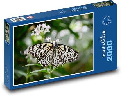 Motyl na kwiatku - wiosna - Puzzle 2000 elementów, rozmiar 90x60 cm
