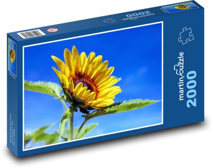 Kvitnúca slnečnica - Puzzle 2000 dielikov, rozmer 90x60 cm 
