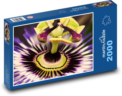 Passionsblume - Puzzle - 2000 Teile