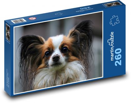 Elegantní psí portrét, Papillon - puzzle 260 dílků