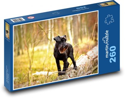 Schnauzer in autumn forest - Puzzle 260 pieces, size 41x28.7 cm 