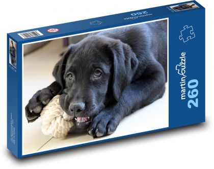 Dog - Puzzle 260 pieces, size 41x28.7 cm 